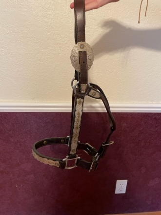 Tack ID: 565425 Leather Show horse halter with silver plates and blue stones - PhotoID: 151404 - Expires 15-Jul-2023 Days Left: 46