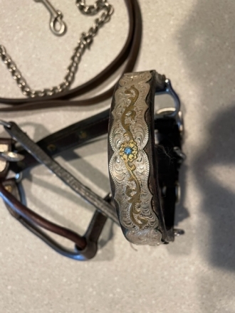Tack ID: 565425 Leather Show horse halter with silver plates and blue stones - PhotoID: 151407 - Expires 15-Jul-2023 Days Left: 46
