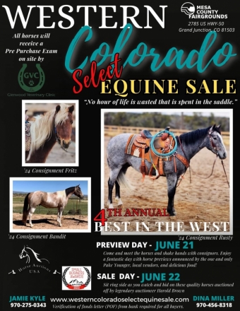 Tack ID: 568407 2024 Western Colorado Select Equine Sale - PhotoID: 152897 - Expires 08-Jul-2024 Days Left: 64