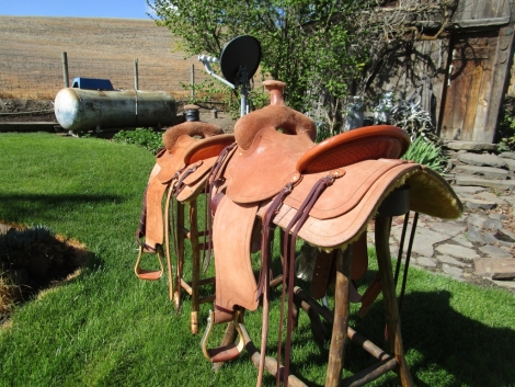 Tack ID: 568481 Brand new and slightly rode saddles made by Robin Severe - PhotoID: 153008 - Expires 31-Oct-2024 Days Left: 166