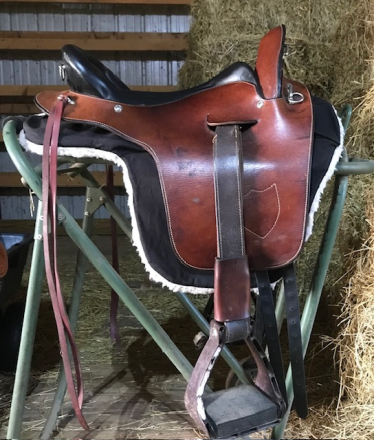 Tack ID: 570082 Ortho-Flex Trail Saddle - PhotoID: 155137 - Expires 29-Dec-2025 Days Left: 25