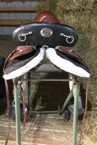 Tack ID: 570082 Ortho-Flex Trail Saddle - PhotoID: 155140 - Expires 29-Dec-2025 Days Left: 25