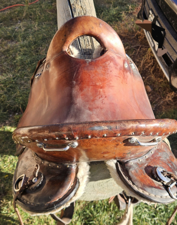 Tack ID: 570120 16 Annie George Endurance Saddle - PhotoID: 155187 - Expires 17-Jan-2026 Days Left: 44