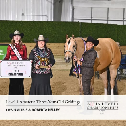 Tack ID: 570147 HORSE TREADMILL - LIKE NEW! - PhotoID: 155228 - Expires 27-Apr-2026 Days Left: 144