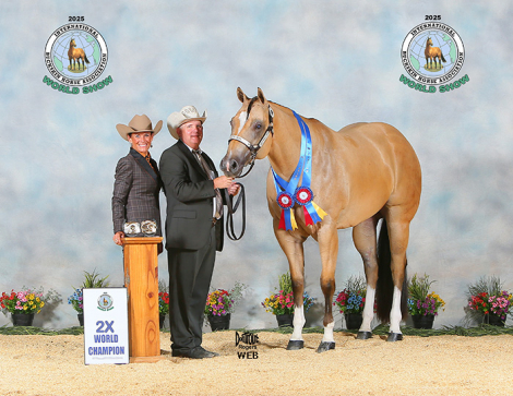 Tack ID: 570147 HORSE TREADMILL - LIKE NEW! - PhotoID: 155229 - Expires 27-Apr-2026 Days Left: 144