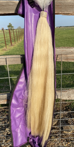 Tack ID: 570170 Palomino Tail Extension - PhotoID: 155263 - Expires 08-Feb-2026 Days Left: 66
