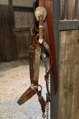 Tack ID: 570170 Palomino Tail Extension - PhotoID: 155265 - Expires 08-Feb-2026 Days Left: 66