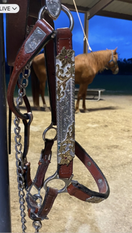 Tack ID: 570170 Palomino Tail Extension - PhotoID: 155266 - Expires 08-Feb-2026 Days Left: 66