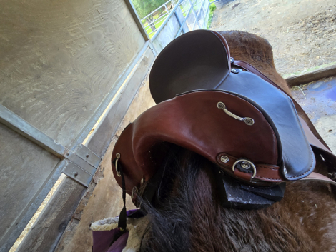 Tack ID: 570214 Specialized Aussie Ultralite Trail Seat 15 new this year - PhotoID: 155316 - Expires 02-Mar-2026 Days Left: 88