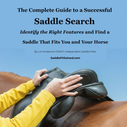 Tack ID: 570241 The Complete Guide to a Successful Saddle Search - PhotoID: 155395 - Expires 12-Apr-2026 Days Left: 79