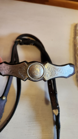 Tack ID: 570298 Custom silver headstall, romel reins, and breastcollar - PhotoID: 155378 - Expires 09-Apr-2026 Days Left: 77