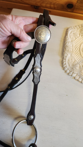 Tack ID: 570298 Custom silver headstall, romel reins, and breastcollar - PhotoID: 155379 - Expires 09-Apr-2026 Days Left: 77