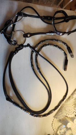 Tack ID: 570298 Custom silver headstall, romel reins, and breastcollar - PhotoID: 155380 - Expires 09-Apr-2026 Days Left: 77