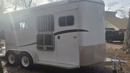 Tack ID: 570308 Warmblood trailer - PhotoID: 155405 - Expires 13-Jul-2026 Days Left: 172