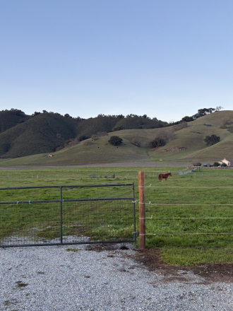 Tack ID: 570318 A Private, Tranquil Ranch for Your Horse | Gilroy, CA - PhotoID: 155439 - Expires 26-Jul-2026 Days Left: 89