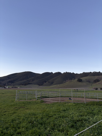 Tack ID: 570318 A Private, Tranquil Ranch for Your Horse | Gilroy, CA - PhotoID: 155436 - Expires 17-Nov-2026 Days Left: 74