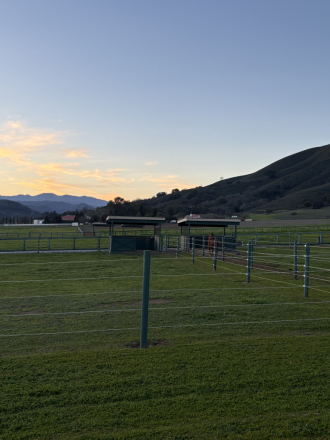 Tack ID: 570318 A Private, Tranquil Ranch for Your Horse | Gilroy, CA - PhotoID: 155437 - Expires 17-Nov-2026 Days Left: 74