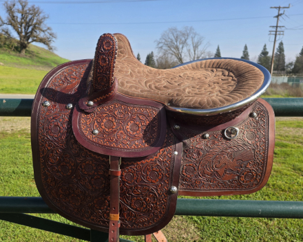 Tack ID: 570335 Sidesaddle - PhotoID: 155448 - Expires 29-Apr-2026 Days Left: 84