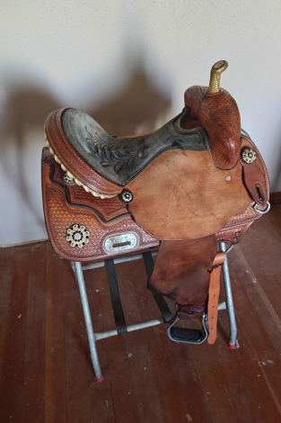 Tack ID: 570342 Team Steinhoff custom - PhotoID: 155459 - Expires 07-May-2026 Days Left: 84