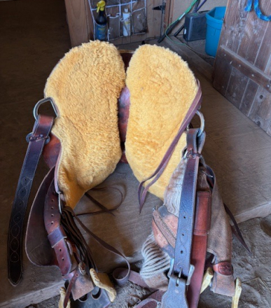 Tack ID: 570389 McCall Trail Saddle - PhotoID: 155529 - Expires 31-Aug-2026 Days Left: 159