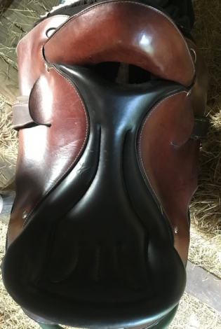 Tack ID: 570420 Patriot model true ORTHO-FLEX Saddle - PhotoID: 155567 - Expires 16-Jun-2026 Days Left: 88