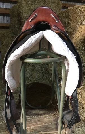 Tack ID: 570420 Patriot model true ORTHO-FLEX Saddle - PhotoID: 155568 - Expires 16-Jun-2026 Days Left: 88