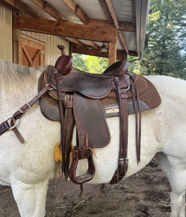 Tack ID: 570436 16” Clinton Anderson by Martin Saddlery - PhotoID: 155579 - Expires 27-Jun-2026 Days Left: 87