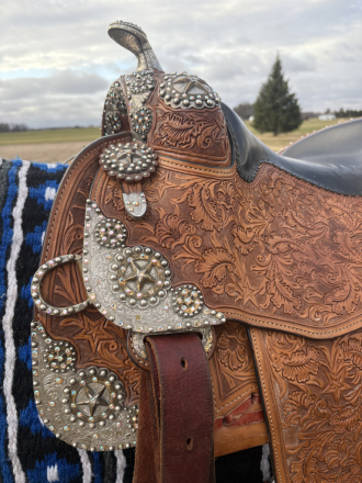 Tack ID: 570492 Silver Mesa Western Star Show Saddle Youth Child Kids - PhotoID: 155958 - Expires 10-Dec-2026 Days Left: 87