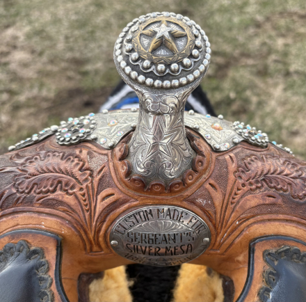 Tack ID: 570492 Silver Mesa Western Star Show Saddle Youth Child Kids - PhotoID: 155959 - Expires 10-Dec-2026 Days Left: 87