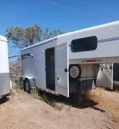 Tack ID: 570733 Saddles, Trailers, and Driving Harnesses - PhotoID: 155892 - Expires 13-Nov-2026 Days Left: 70