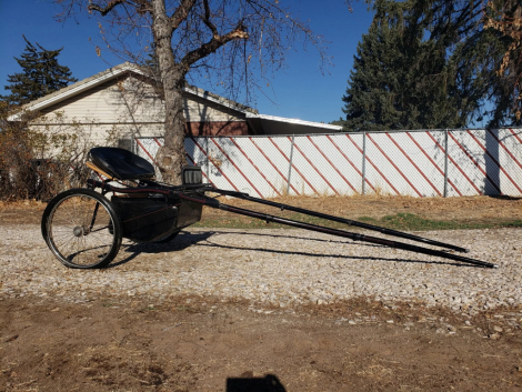 Tack ID: 570739 Horse Show Cart and Leather Harness - PhotoID: 155903 - Expires 17-Nov-2026 Days Left: 74