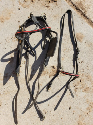 Tack ID: 570739 Horse Show Cart and Leather Harness - PhotoID: 155904 - Expires 17-Nov-2026 Days Left: 74