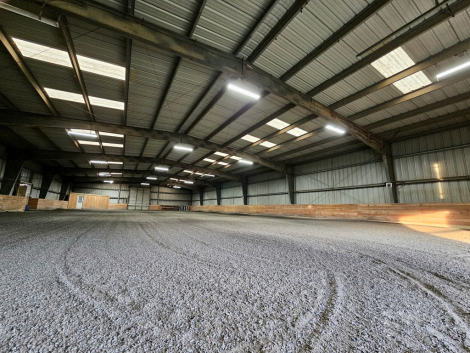 Tack ID: 570848 Full-Care Boarding | Indoor Arena | Easton, PA - PhotoID: 156086 - Expires 11-Apr-2027 Days Left: 177