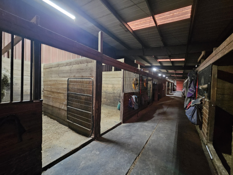 Tack ID: 570848 Full-Care Boarding | Indoor Arena | Easton, PA - PhotoID: 156088 - Expires 11-Apr-2027 Days Left: 177
