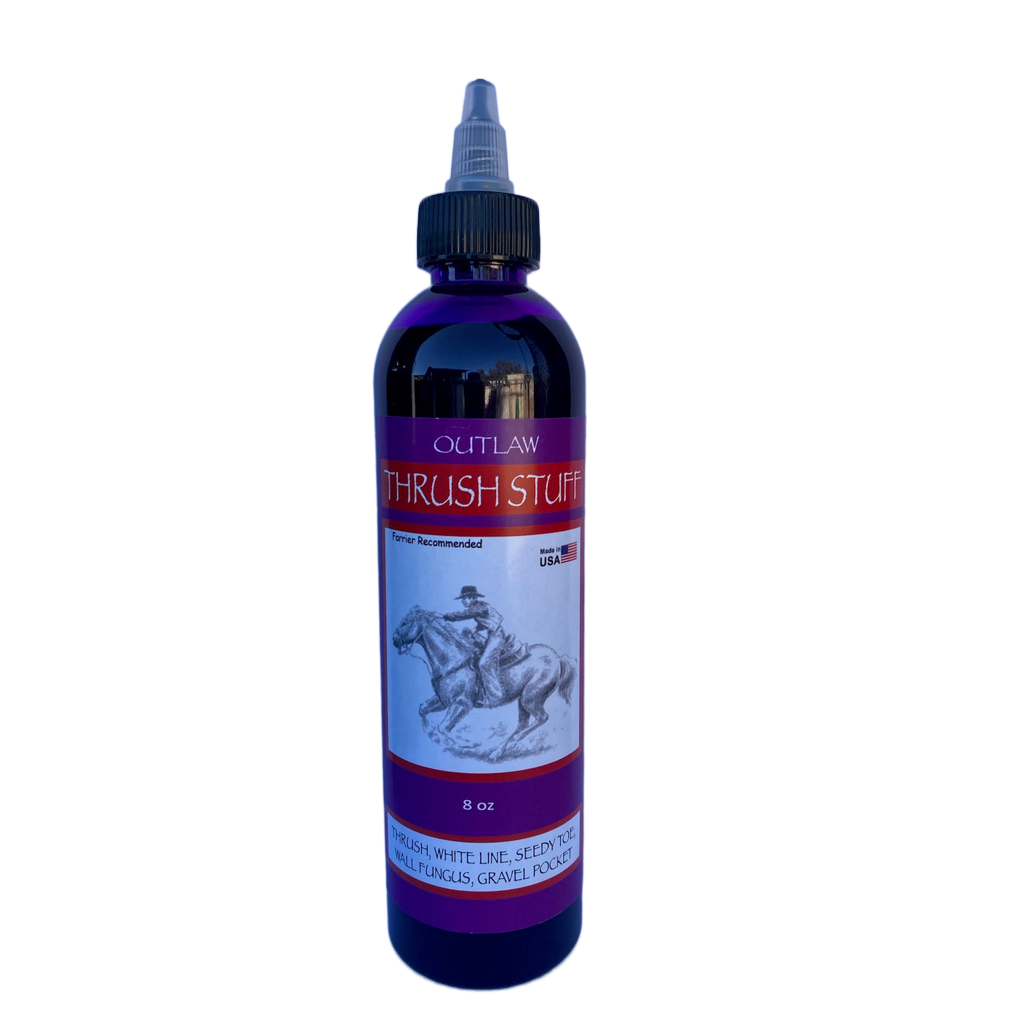 Order #: 00905453 - Date Uploaded: 18-Oct-2026 04:36:07 PM